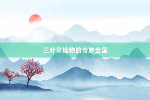 三叶草植物的奇妙全国